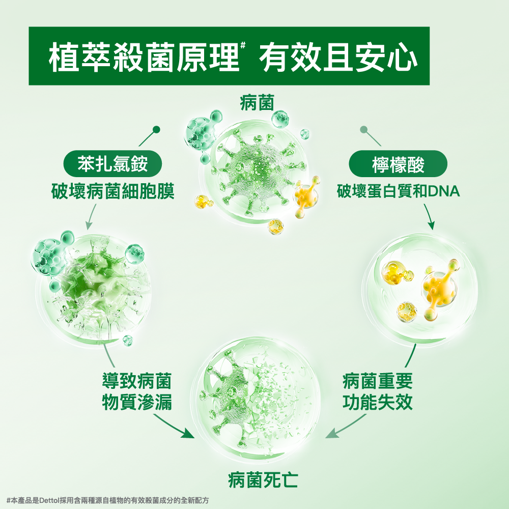 Dettol - 滴露天然植萃全功能家居消毒劑 寵物及兒童適用 (茉莉及綠茶淡香) 1000ml/1L