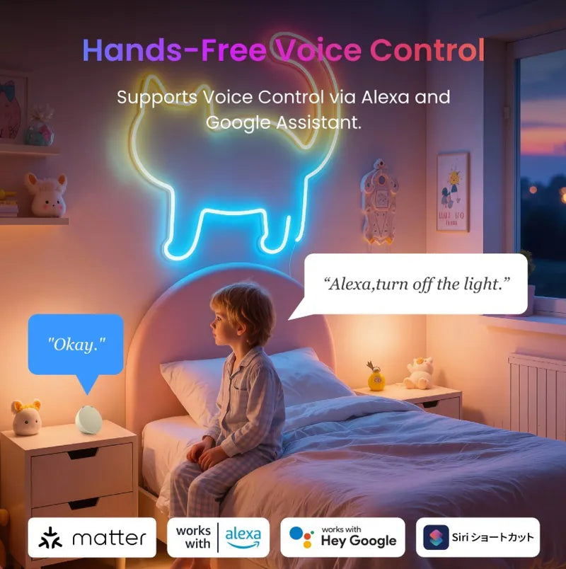 SwitchBot - RGBIC 霓虹燈繩燈 (5米) 適用於 Apple Home、Alexa 和 Google Home【香港行貨】