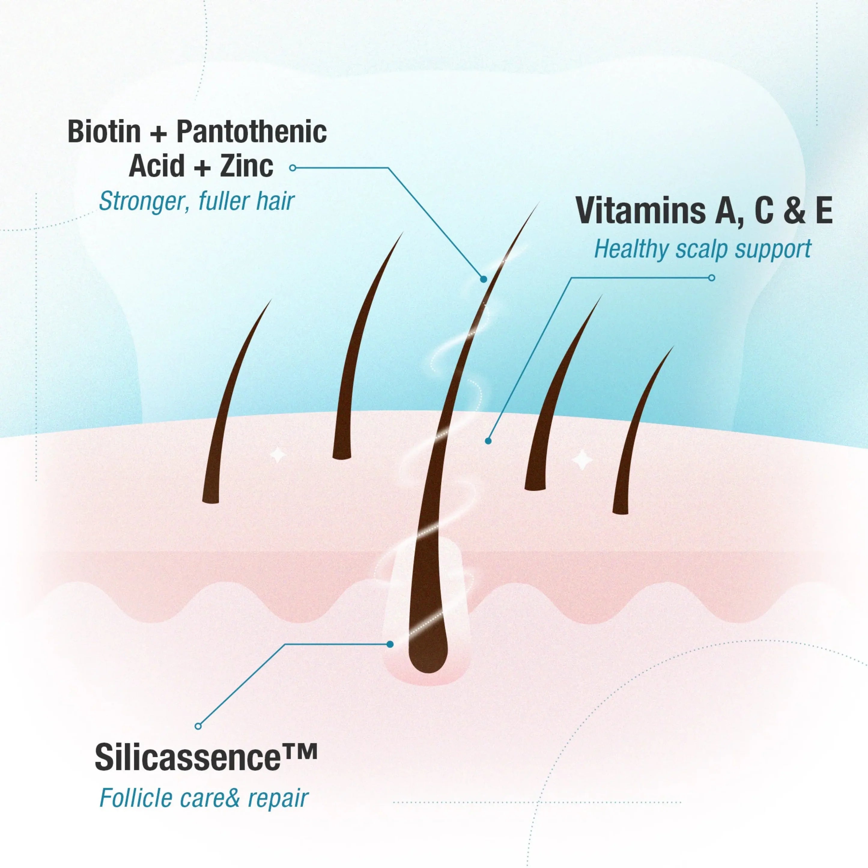 Unichi - Teddi Lab 育髮小熊軟糖 Plus升級版 (60粒) Hair Boost Gummy PLUS 海鹽青提味【Expire: 01/2029】