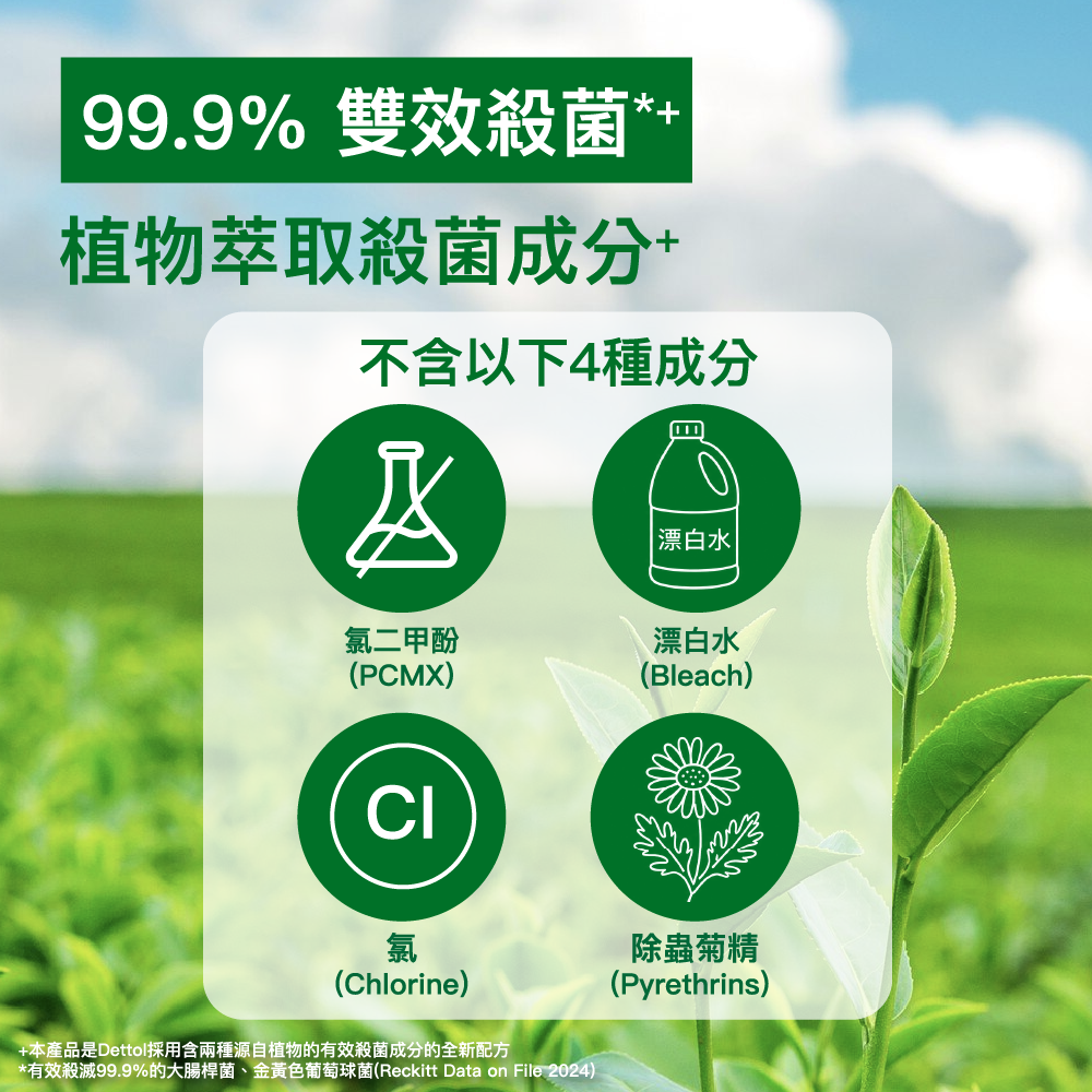 Dettol - 滴露天然植萃全功能家居消毒劑 寵物及兒童適用 (茉莉及綠茶淡香) 1000ml/1L