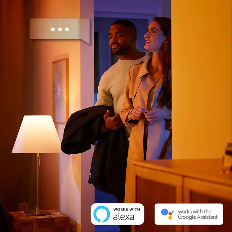 Philips - Hue E27 黃白光智能燈泡 11W 黃光白光燈膽【香港行貨】