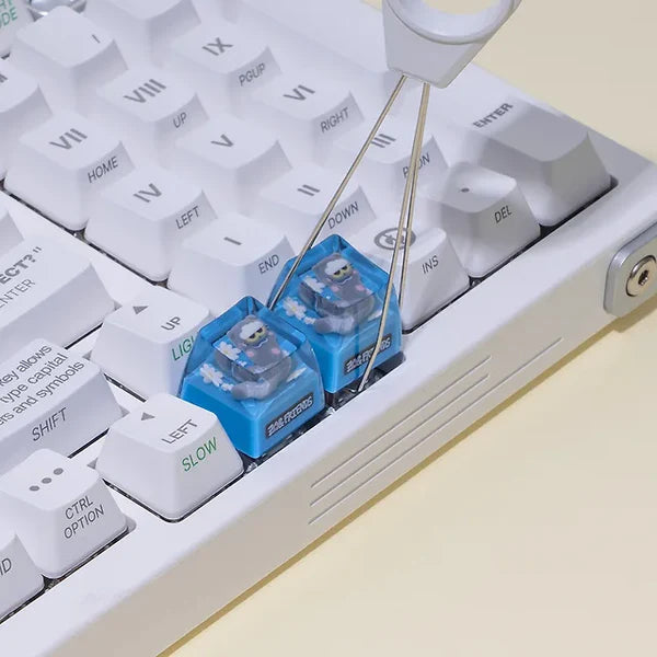 Zo&Friends - ZOA Resin Keycap 透光樹脂鍵帽 (附收納盒)