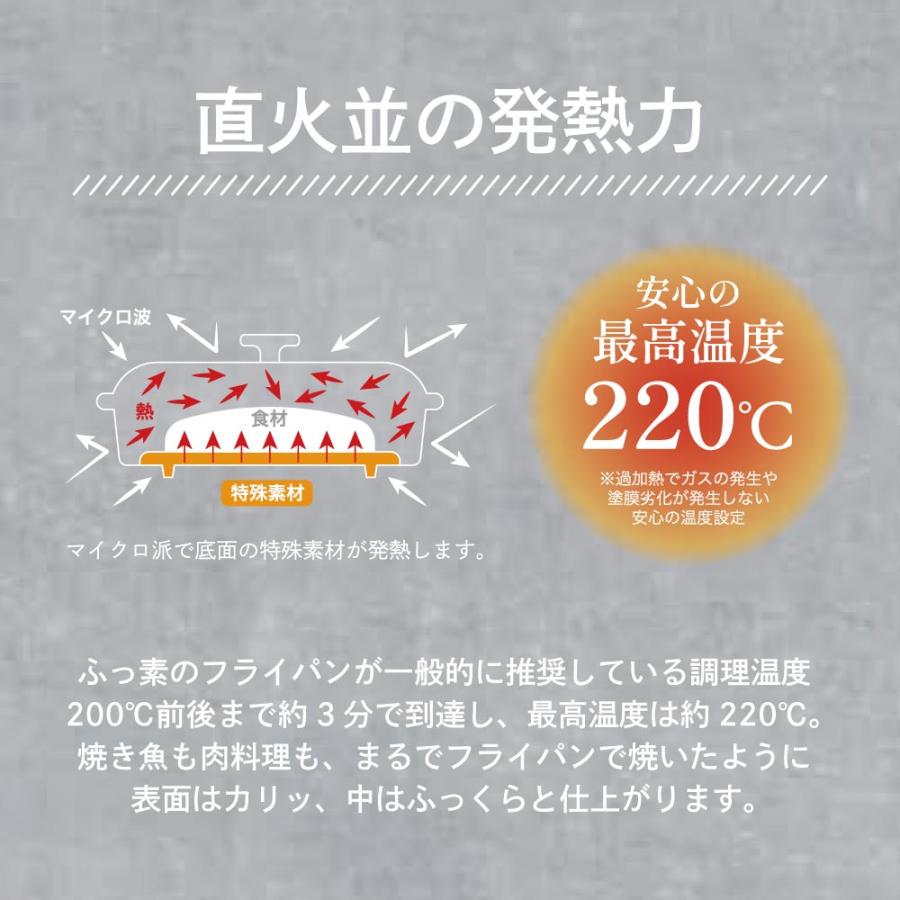 Wahei 和平フレイズ - 日本品牌 微波爐多功能烹調盒 (M/L) 微波爐煮食神器 7合一 7in1 煎/烤/燉/蒸/炒/加熱/煮飯